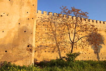 Wall of Meknes, Morocco, March 2009