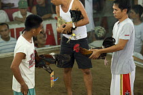 Men with roosters about to begin a cockfight, Philippines. 2008