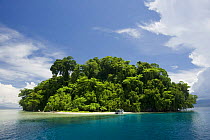 Restorf Island, Papua New Guinea. Indo-pacific