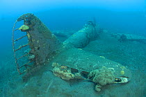 Plane wreck in the waters of Kimbe Bay, Papua New Guinea, Indo-pacific
