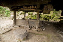 Mortar and pestle for milling rice in a traditional wooden hut, Banaue Rice Terraces, Philippines.  UNESCO World Heritage Site 2008