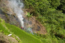 Slash and burn farming (the "Kaingin" system), typically practised by landless farmers who tend to engage in shifting cultivation by clearing large areas of forest to grow crops, Philippines.