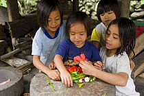 Ifugao girls playing with flowers and leaves in a  traditional hut, Banaue Rice Terraces, Philippines.  UNESCO World Heritage Site 2008