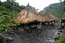 Traditional Ifugao huts, Philippines.