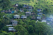 Traditional village amongst the Banaue Rice Terraces, Philippines.  UNESCO World Heritage Site 2008