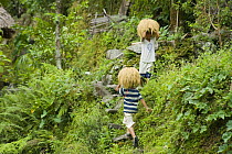 People carrying bundles of harvested rice (Oryza sp.) on the Banaue Rice Terraces, Philippines.  UNESCO World Heritage Site 2008