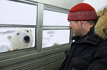 Justin Anderson with Polar bear {Ursus maritimus} looking in through window of filming vehicle, Churchill, Manitoba, Canada. Filming for BBC 'Nature's Great Events', 2007