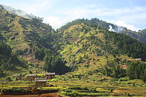 Agricultural landscape with rice paddies, showing slash and burn in progress on higher hillsides, Central Madagascar