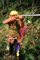 Taiwanese aboriginal hunter of Beinan tribe hunting Formosan macaques (Macaca cyclopis) with home-made gun.