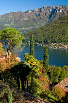 Lake Lugano (Lago di Lugano) and Alps seen from Morcote near Lugano, Switzerland, September 2008