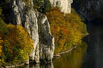 Autumn colours and limestone cliffs of the River Danube Canyon / gorge near Weltenburg, Bavaria, Germany, October 2008