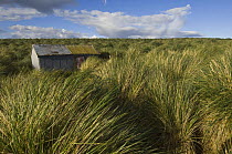 Hut, originally tussock grass-cutters hut but now used for research workers, Kidney Island, Falkland Islands