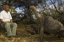 Giant tortoise (Geochelone elephantopus abingdoni) 'Lonesome George' the last of the Pinta Island tortoise subspecies (Geochelone nigra abingdoni) with Fausto Llerena the National Park Guard who broug...