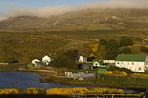 Port Howard Settlement, situated at the base of Mound Maria and at the head of its own sheltered harbour, Port Howard, Northern end of West Falkland, Falkland Islands