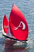 "Avalon" sailing downwind under spinnaker during the Newport Bucket Regatta, July 2009, Rhode Island, USA.