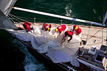 Crew on 68ft Swan "Chippewa" dropping the spinnaker, Newport Bucket Regatta, July 2009, Rhode Island, USA.