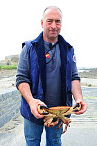 Man holding an Edible crab (Cancer pagurus) after crab fishing in Guernsey, Channel Islands. May 2009.