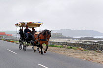 Tourists taking a horse and carriage tour, Guernsey, Channel Islands. May 2009.