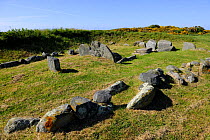 Les Fouaillages L'Ancresse burial chamber and Neolithic tomb (6500 BC), Guernsey, Channel Islands. May 2009.