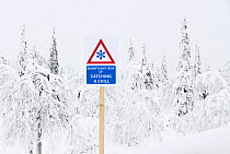 Spoof sign warning of the cold in a snow laden forest, Finland