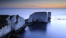 Old Harry Rocks, chalk stacks located east of Studland, at sunrise, Dorset, UK. April 2009.