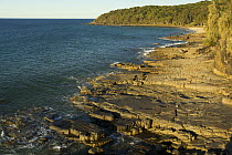 Rocky coast, Tea Tree Bay, Noosa National Park, Queensland, Australia