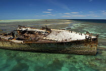 Wreck of the HMCS Protector (Australia's first naval vessel) on the reef at Heron Island, Great Barrier Reef, Queensland, Australia