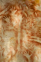 Aboriginal rock art with many human hands, at a site called "The Art Gallery", Carnarvon Gorge, Carnarvon National Park, Queensland, Australia
