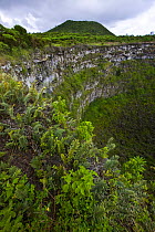 View from the caldera rim of Los Gemelos, Santa Cruz Island, Galapagos, January 2009