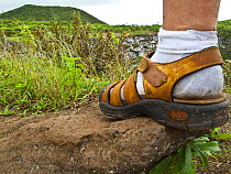 Close up of foot of a hiker on the caldera rim of Los Gemelos, Santa Cruz Island, Galapagos, January 2009. Model released.