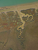 Aerial view of the river beds and saltmarshes of the Bahia / Bay de Cadiz Natural Park, Andalucia, Spain, March 2008