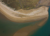 Aerial view of the coast and saltmarshes of the Bahia / Bay de Cadiz Natural Park, Andalucia, Spain, March 2008