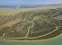Aerial view of the coast, saltmarshes and disused salt pans of the Bahia / Bay de Cadiz Natural Park, Andalucia, Spain, March 2008