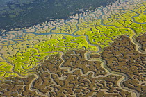 Aerial view of the coast, river beds and saltmarshes of the Bahia / Bay de Cadiz Natural Park, Andalucia, Spain, March 2008