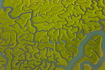 Aerial view of the saltmarshes of the Bahia / Bay de Cadiz Natural Park, Andalucia, Spain, March 2008