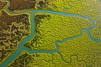 Aerial view of the rivers and saltmarshes of the Bahia / Bay de Cadiz Natural Park, Andalucia, Spain, March 2008
