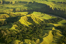 Aerial view of anthropogenic grasslands of the upper Yuat River valley, known as the Jimi Valley, Western Highlands Province, Papua New Guinea, August 2005