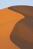 Sand dunes in the desert. Liwa, United Arab Emirates.