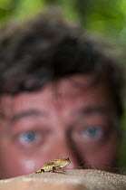 Stephen Fry watching a Dwarf chameleon at Nosy Mangabe, north-eastern Madagascar, while filming BBC TV series 'Last Chance to See', October 2008