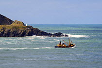 Trawler heads out to sea past Stepper Point at mouth of Camel Estuary. Near Padstow, Cornwall, UK.