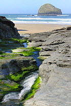 Freshwater stream carving through rocks to reach the sea. Trebarwith Strand, Cornwall, UK.