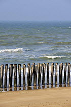Breakwater made of wooden poles on beach. Oye-Plage, Pas-de-Calais, France.