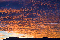 San Luis Valley at dawn, Colorado, USA