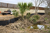 Area of wetland acquired by the Santa Ana National Wildlife Refuge showing the disruption of the US / Mexico border wall construction. Before the wall, this valuable habitat was part of an important w...