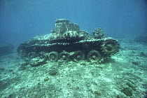 Japanese tank. Solomon Islands, Pacific.
