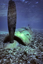 Japanese Zero, World War Two wreck. Palau, Papau New Guinea.