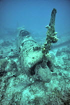 Naka Jima B5N2 Kate, World War Two wreck, Papau New Guinea.