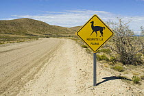 Road sign warning of wildlife, with Guanaco (Lama guanicoe) picture, Monte Leon National Park, Santa Crus Province, Patagonia, Argentina, December 2006