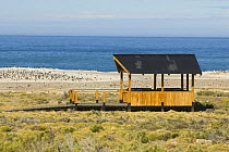 Bird watching hide on the coast, Monte Leon National Park, Santa Cruz Province, Patagonia, Argentina, December 2006