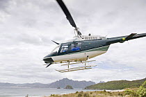 Helicopter for transporting wildlife rangers, leaving Codfish Island, off Stewart Island, southern New Zealand, the main home of the endangered Kakapo, January 2009
